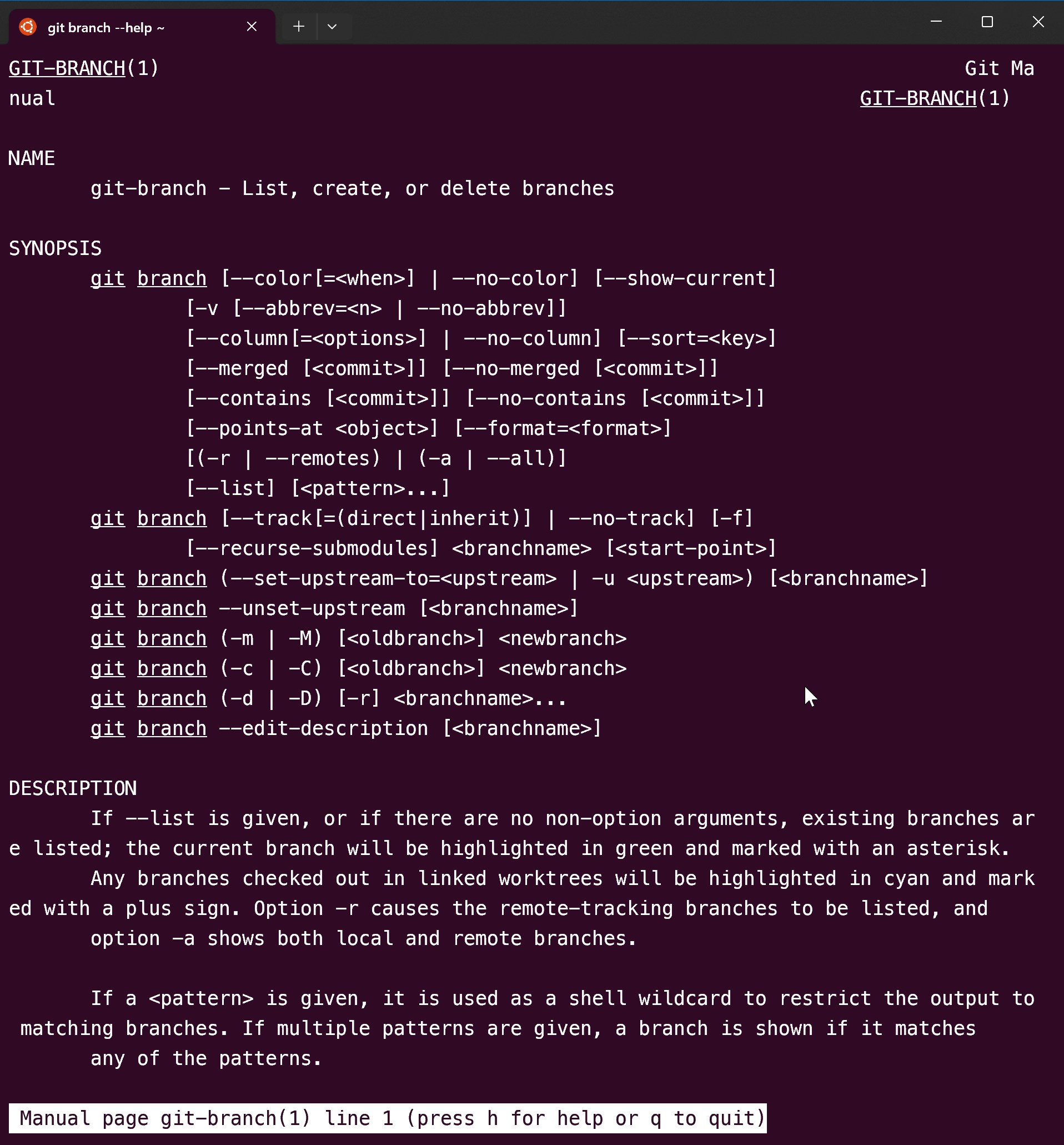 git branch --help